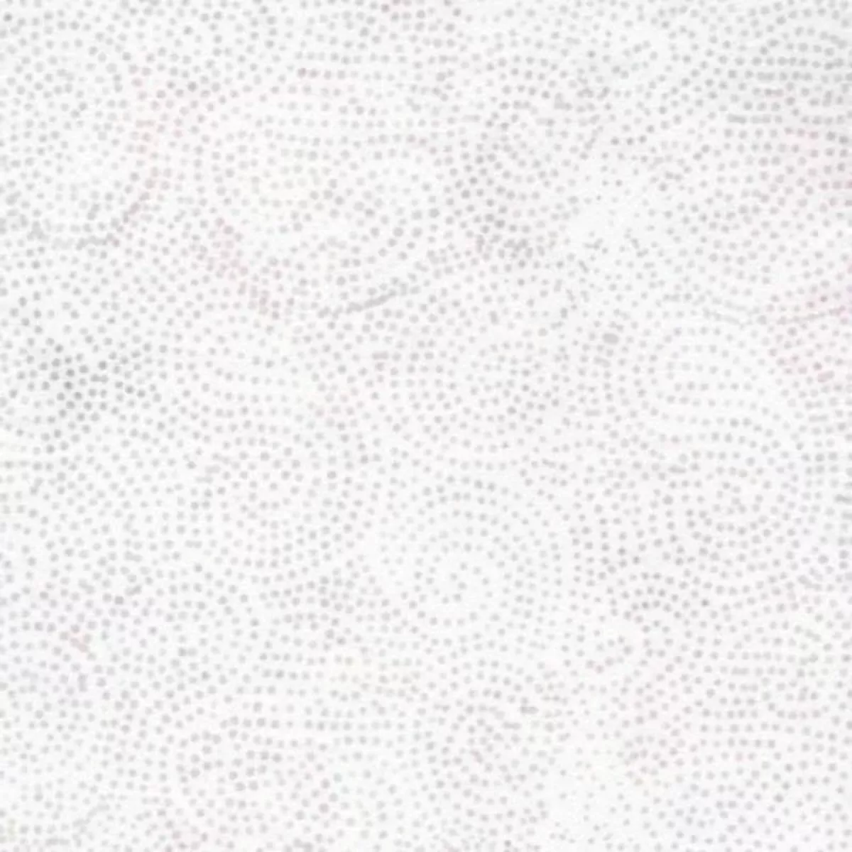 Neutrals Almond