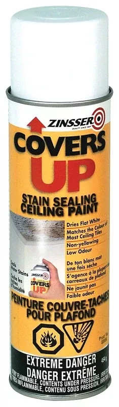 Zinsser Z03696 Spray Primer, White, 454 g